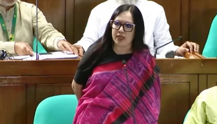 মবের শহরে পরিণত হয়েছে দেশ: রুমিন ফারহানা